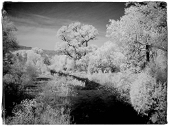 White River View Infrared near Fort Apache, AZ  Dave Hickey